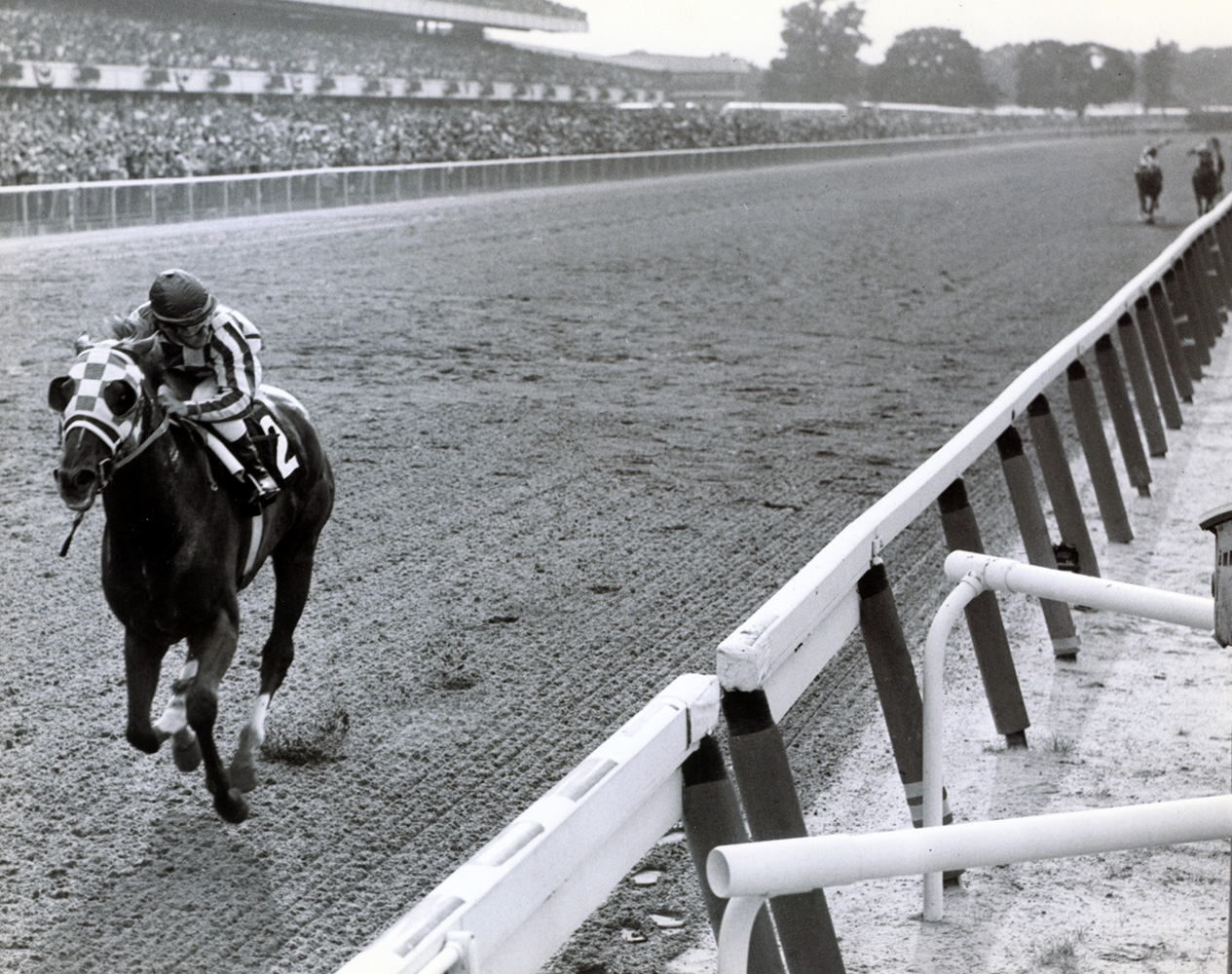 Ron Turcotte and Secretariat winning the 1973 Belmont Stakes and Triple Crown by a record-breaking 31 lengths (Bob Coglianese/Museum Collection)