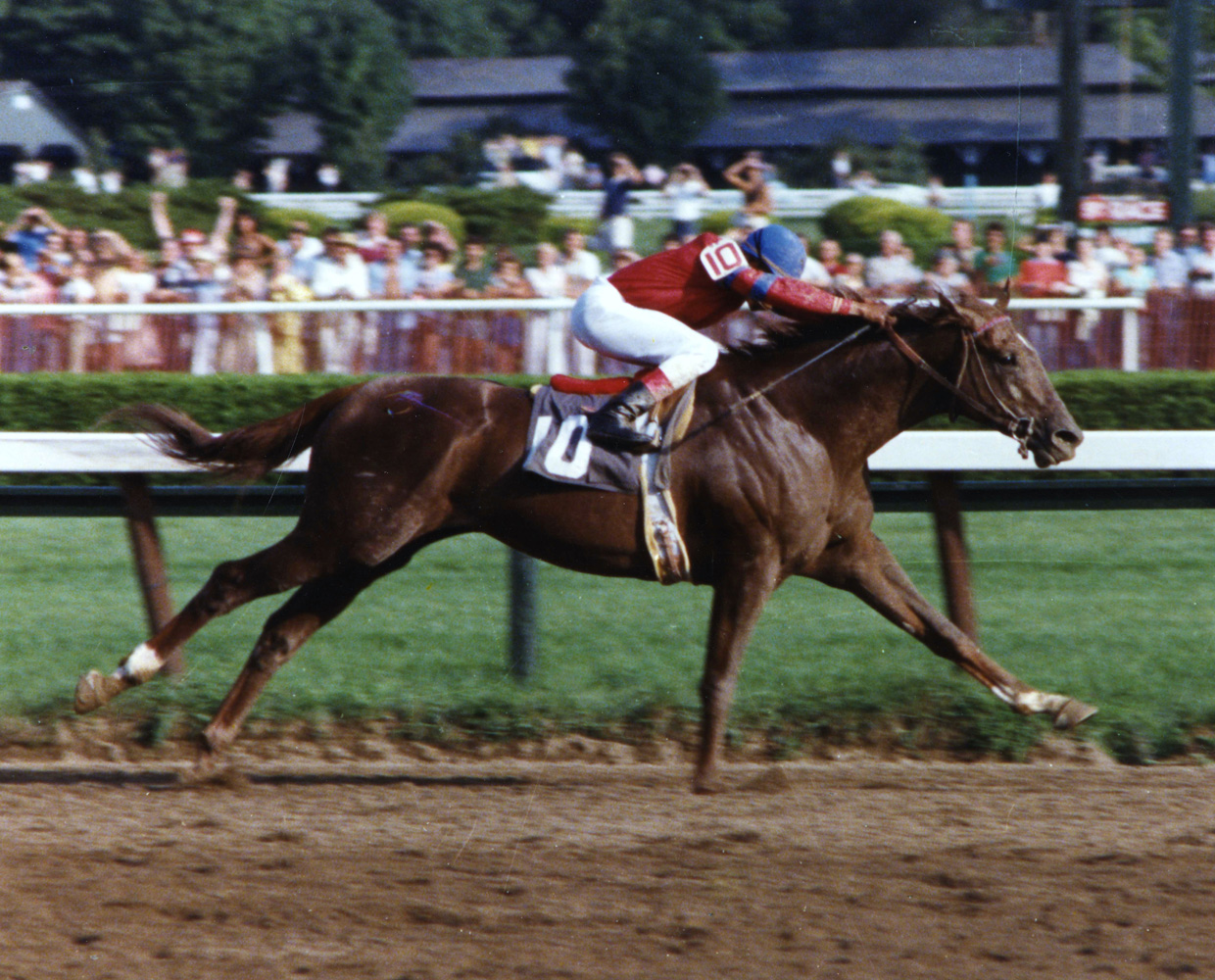 Jorge Velasquez and Alydar winning the 1978 Whitney at Saratoga (Barbara D. Livingston/Museum Collection)