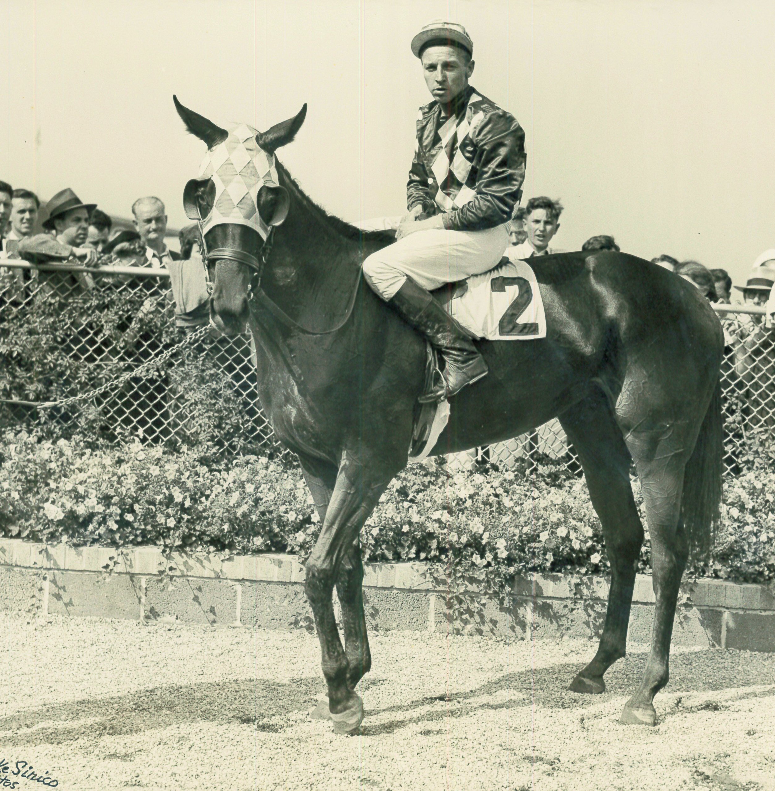 Wayne Wright aboard Good Thing at Aqueduct in 1943 (Mike Sirico/Museum Collection)