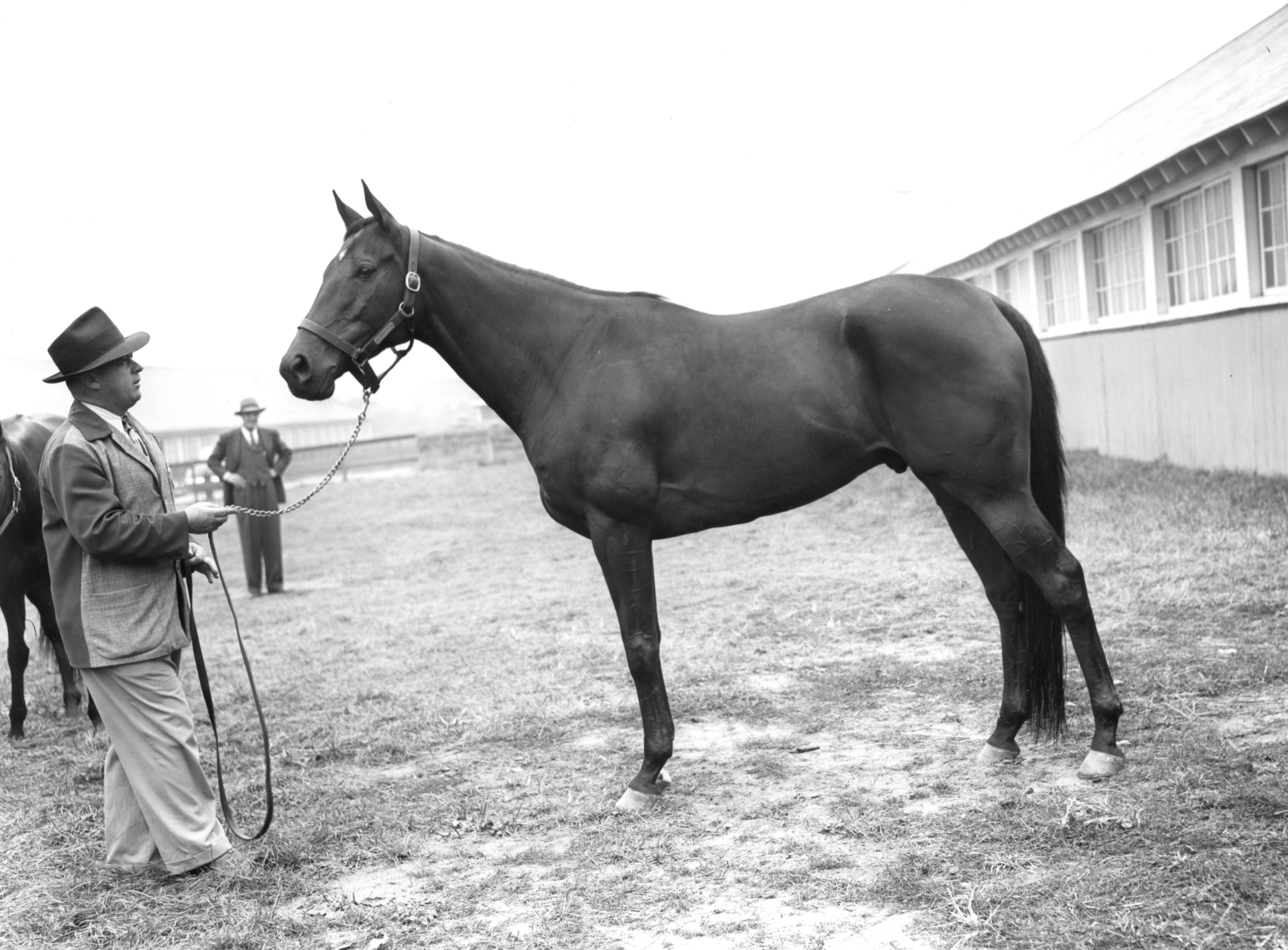 Jimmy Jones and Armed at Belmont in October 1947 (Keeneland Library Morgan Collection/Museum Collection)