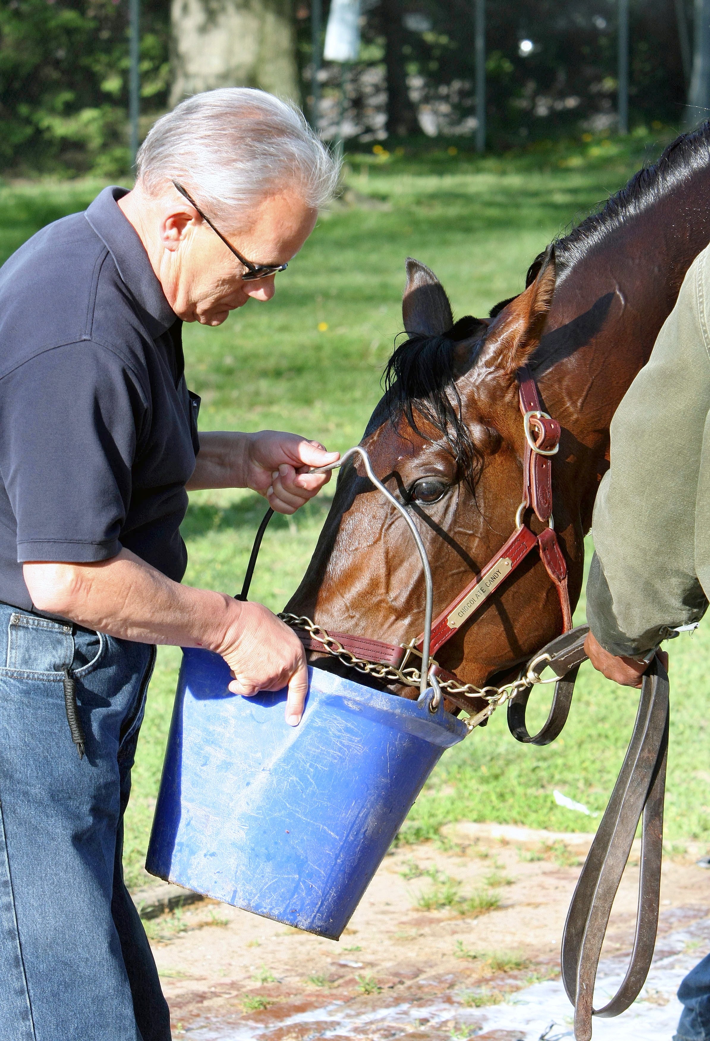 Jerry Hollendorfer and Chocolate Candy (Associated Press Photo)