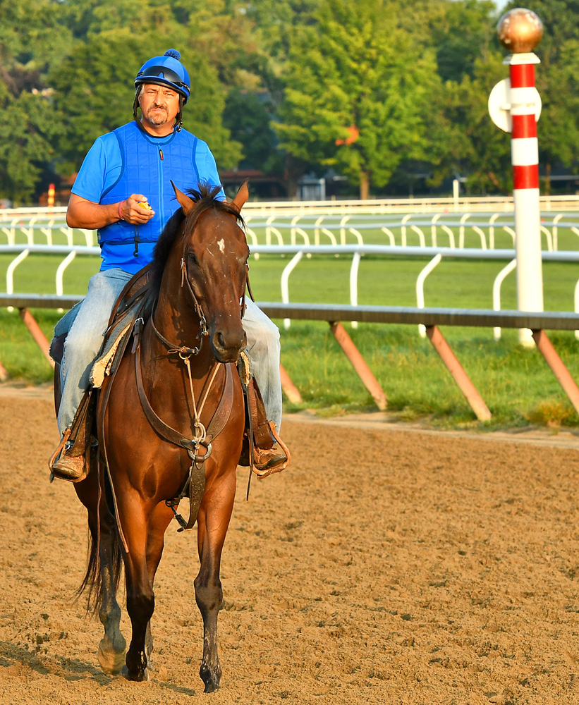 Steve Asmussen on the track during morning workouts at Saratoga, August 2018 (Brien Bouyea)
