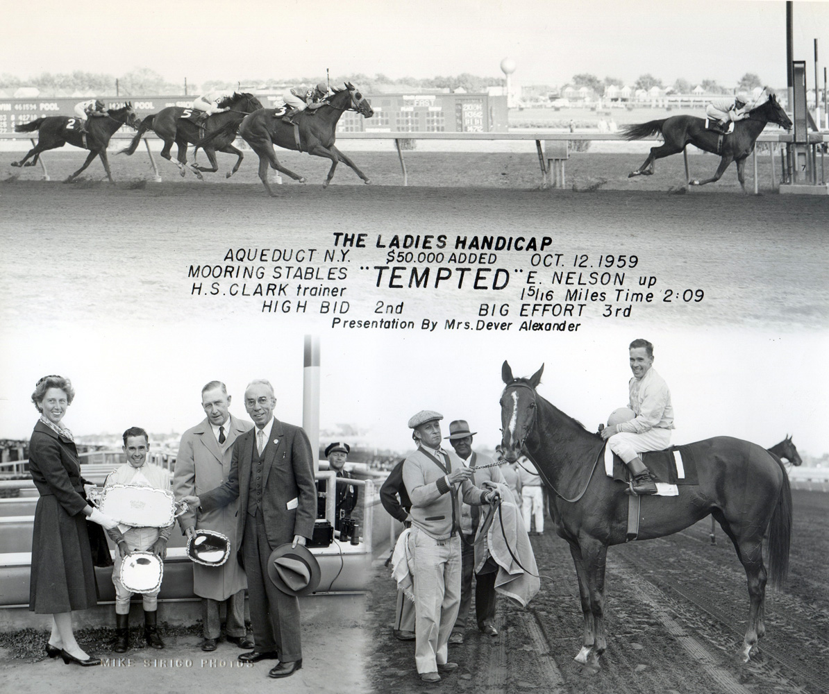Win composite photograph for the 1959 Ladies Handicap at Aqueduct, won by Tempted (E. Nelson up), trained by  Henry S. Clark (Mike Sirico/Museum Collection)