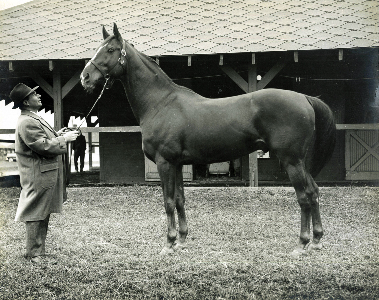 Hirsch Jacobs and Stymie at Jamaica Racetrack in the 1940s (Museum Collection)