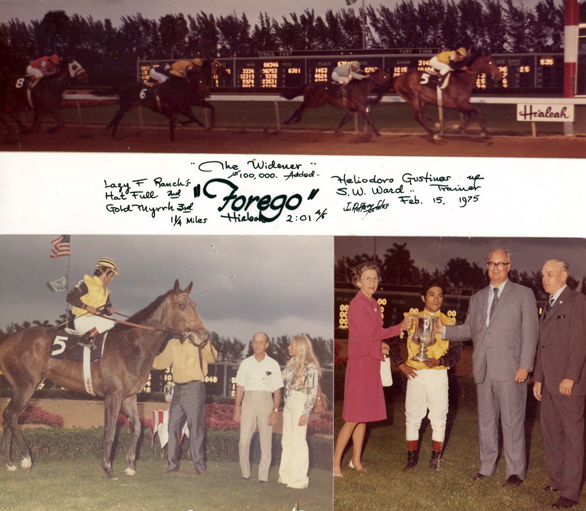 Win composite photograph for the 1975 Widener, won by Forego (H. Gustines up), trained by Sherrill Ward (Jim Raftery Turfotos/Museum Collection)